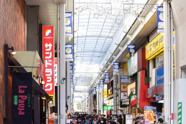 アカナドッグフードの取扱店を厳選調査！ホームセンターなどの店舗で買える？